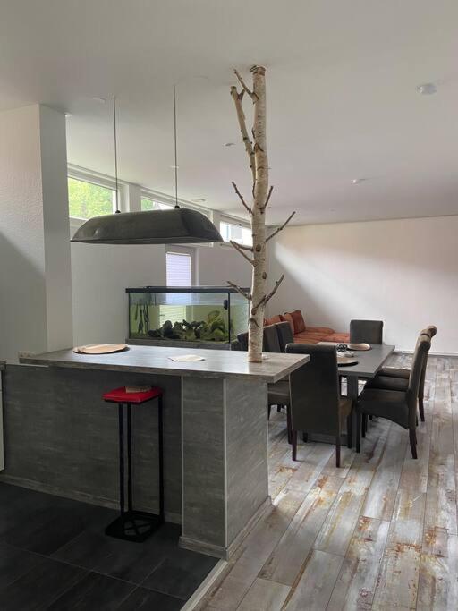 Bronzetaler Apartment *